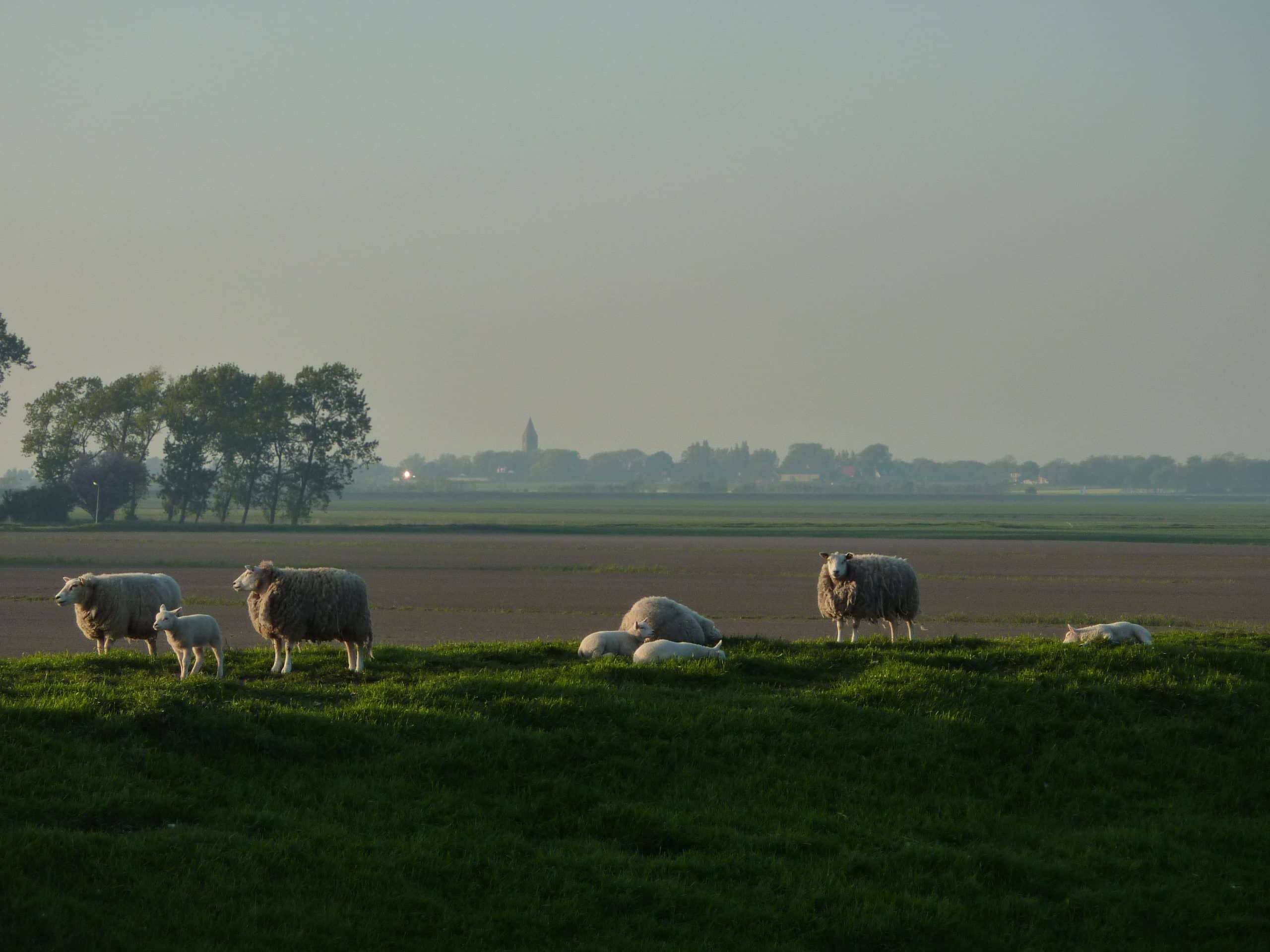 Landschap in Hollands Kroon - cultuurhistorie