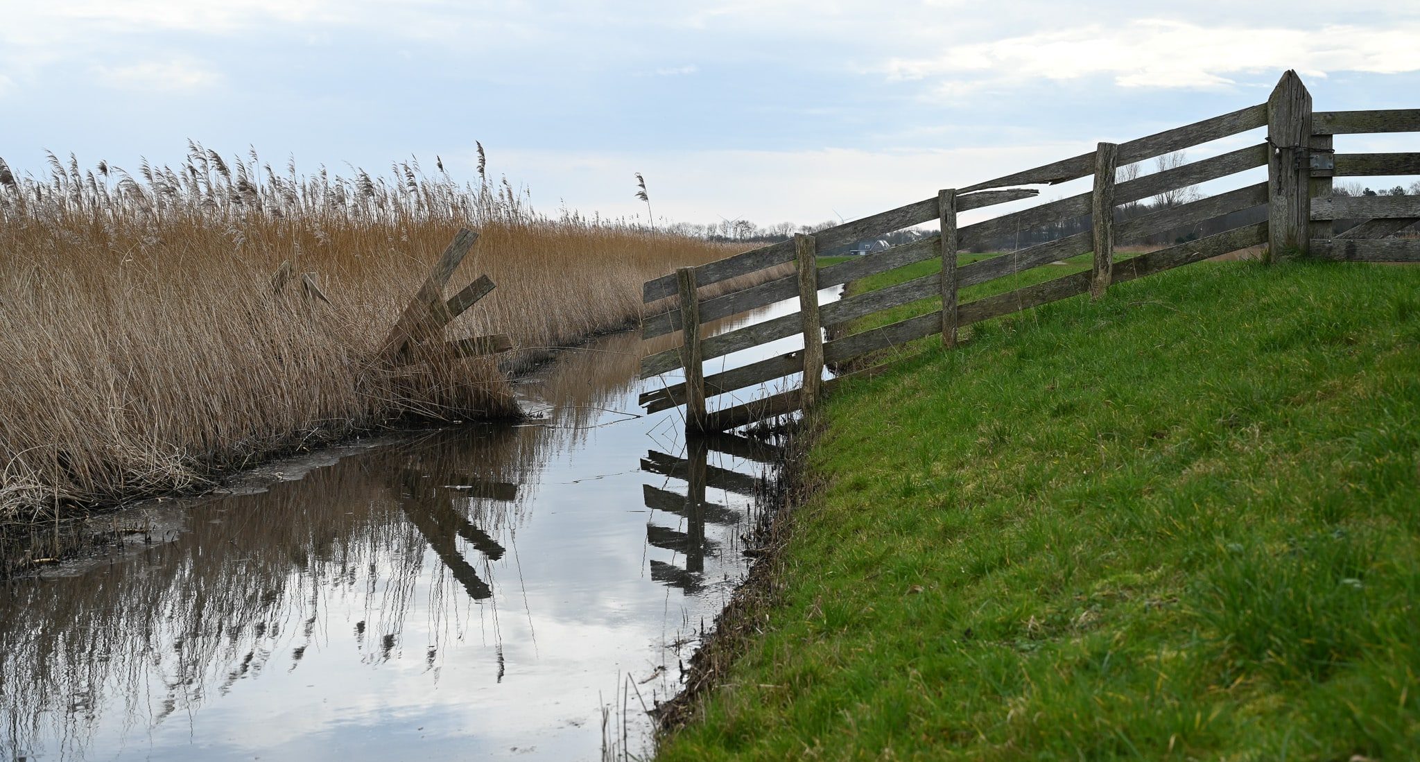 natuurgebied Kruiszwin Anna Paulowna