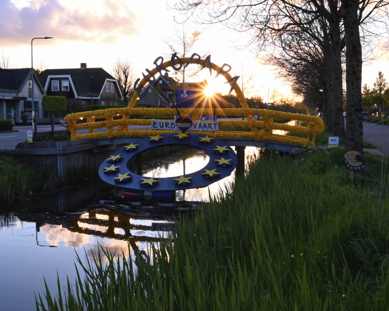 Geel/oranje bollenveld met aan de horizon kassen.