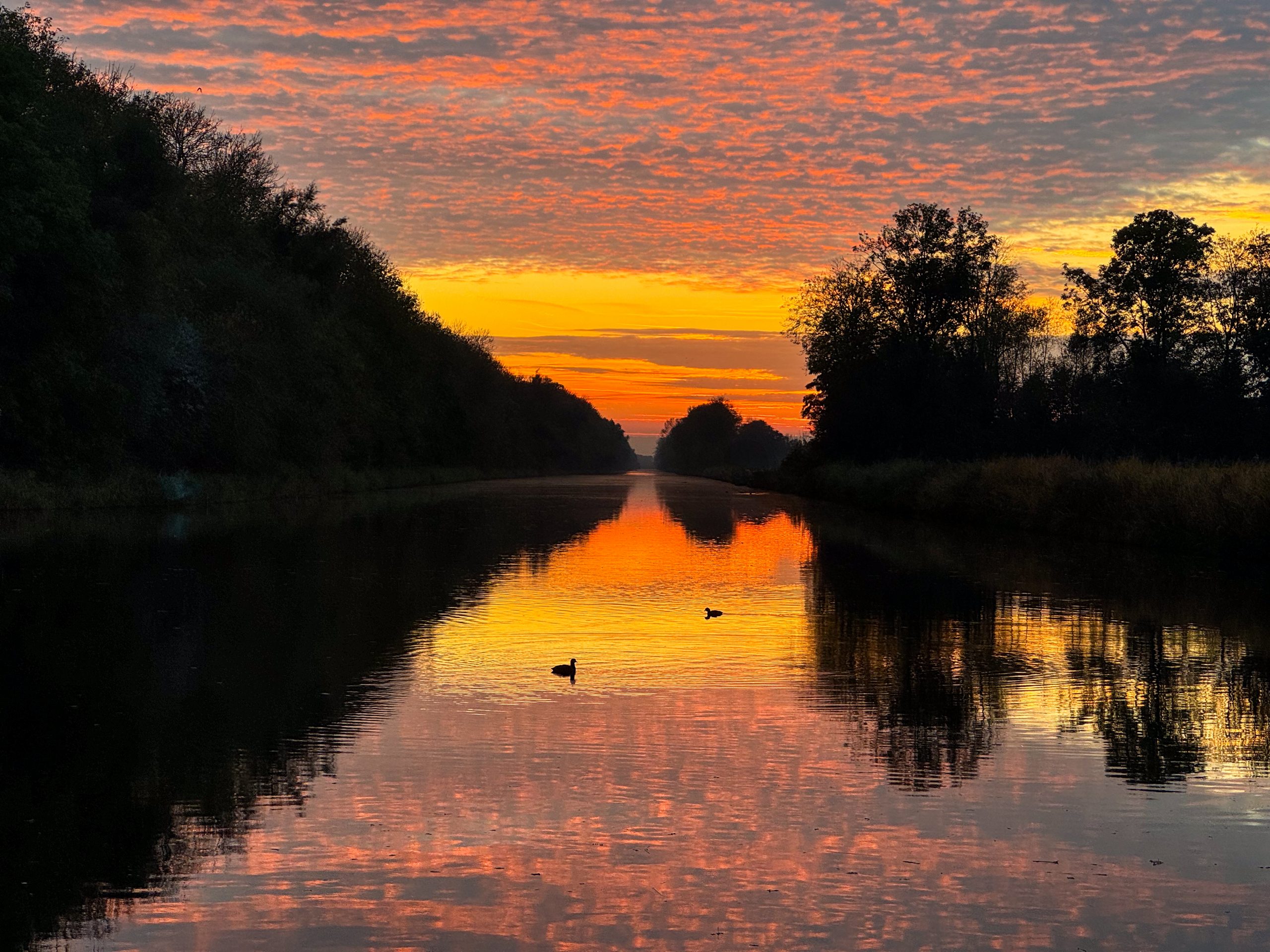 Gekleurde zonsondergang op het water met daarnaast bomen