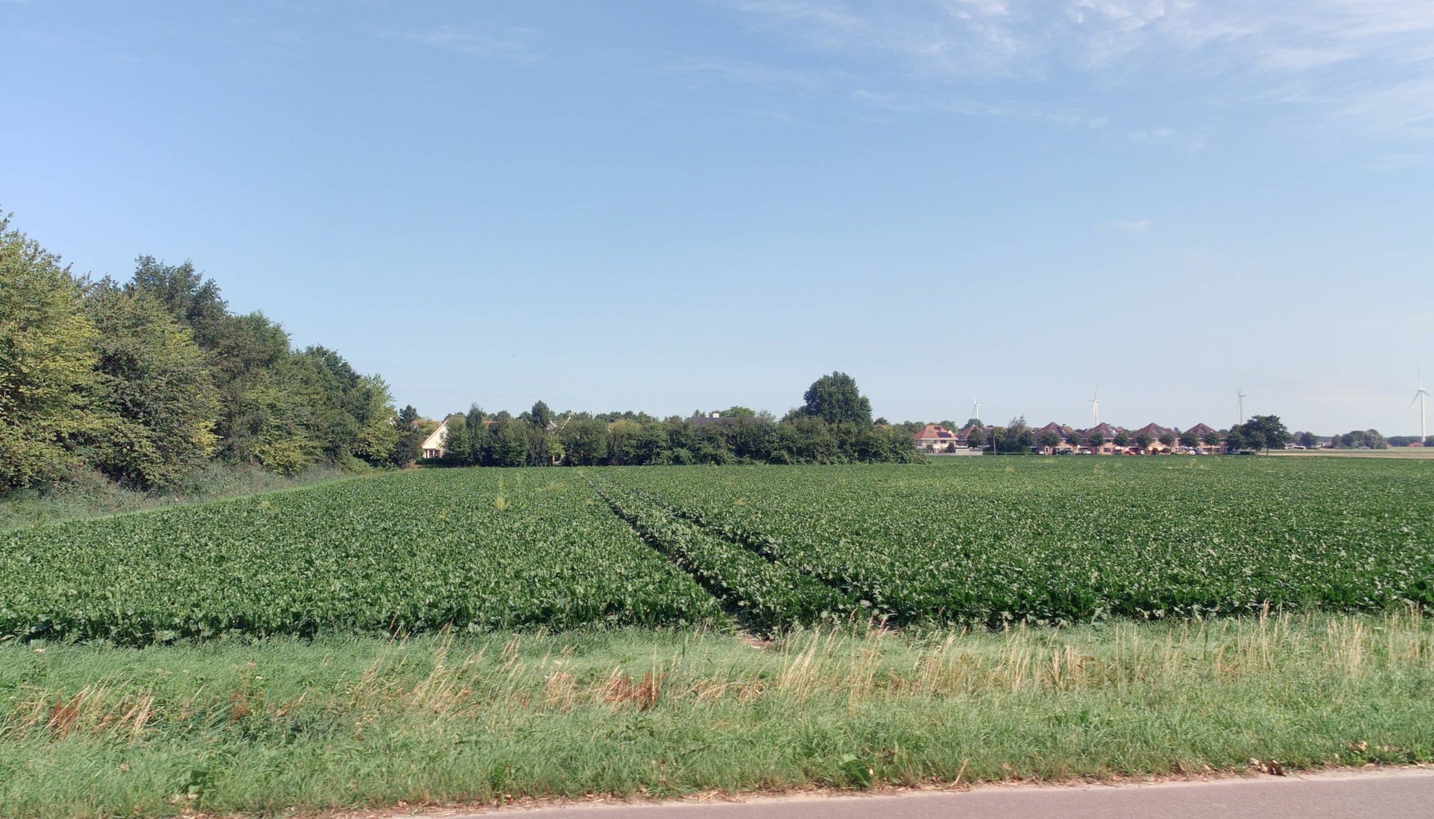 Woningbouw Dorsmolen-Oost in Wieringerwerf