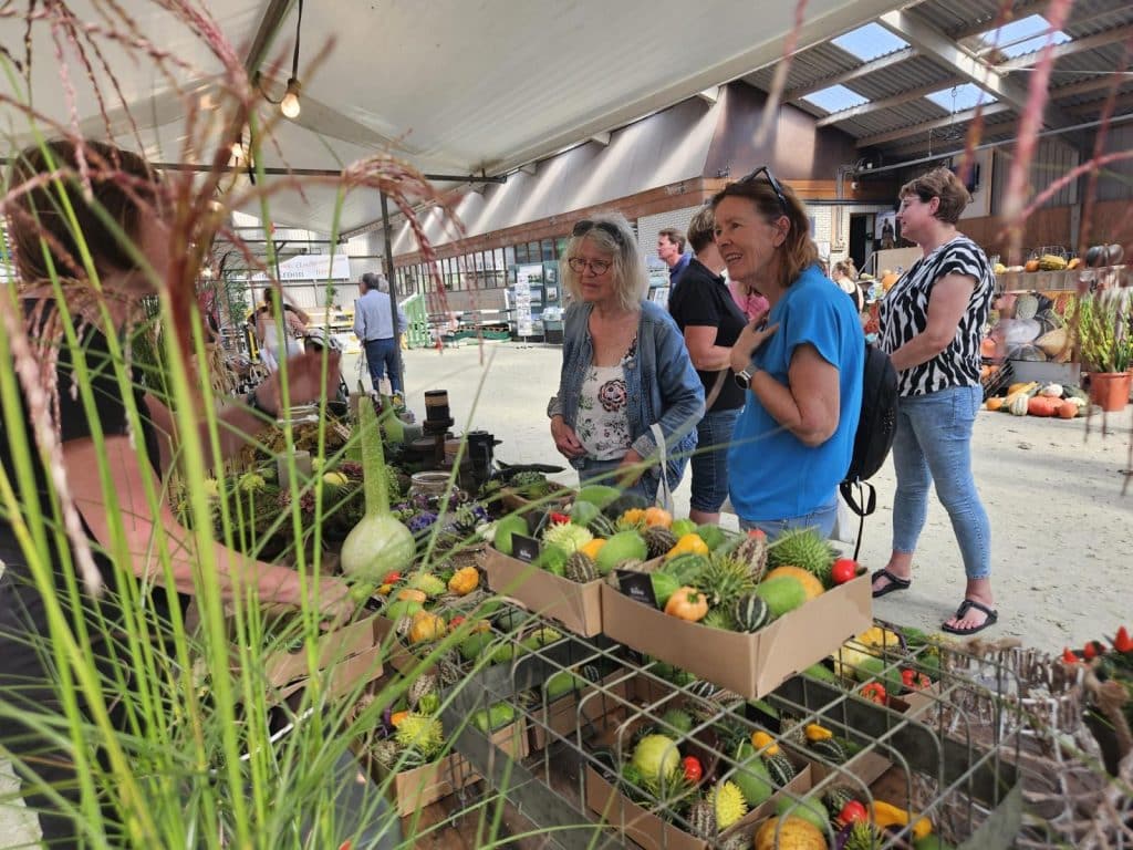“Bezoekers staan bij een kraam met sierkalebassen en decoratieve groenten tijdens een markt in een overdekte hal.”