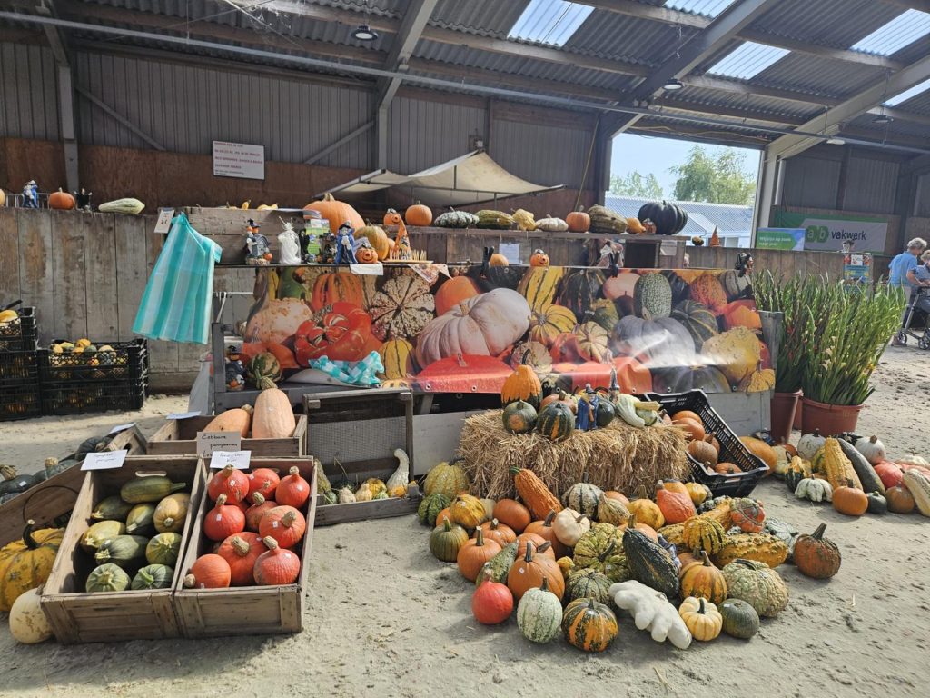 “Uitgestalde pompoenen en kalebassen in verschillende vormen en kleuren op een marktstand in een overdekte