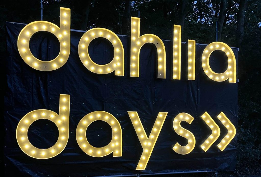Dahlia days in lichtgevende letters