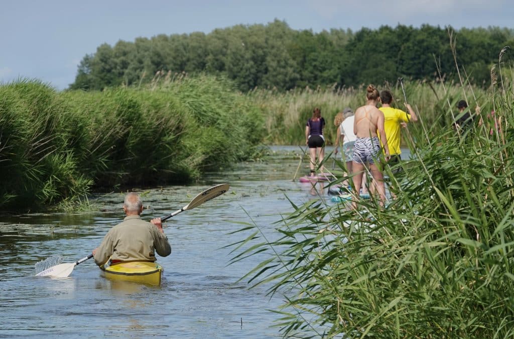Peddelen in Hollands Kroon. Man in kano vaart rustig over het water met voor hem een jongen op een sup board.