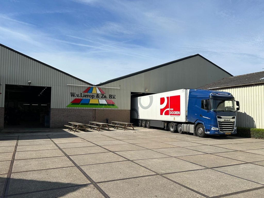 Bloembollen plantdagen