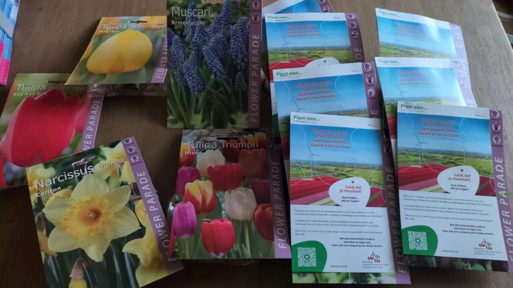 Bloembollen plantdagen